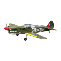 Preview: P-40 WARHAWK