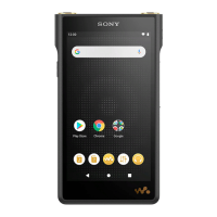 Preview: Sony NW-WM1AM2