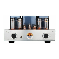 Preview: Cayin PLUS MT-35 MK2