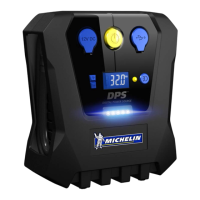 Preview: Michelin 12266