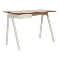 Preview: BluDot Stash Desk
