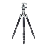 Preview: Rollei Lion Rock Traveler S