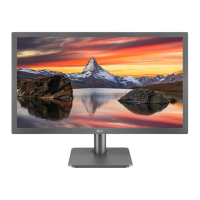 Preview: LG 24 MP450