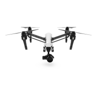 Preview: Inspire 1 Pro