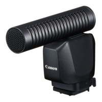 Preview: Canon DM-E1D