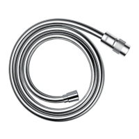 Preview: Hans Grohe Isiflex 28248000