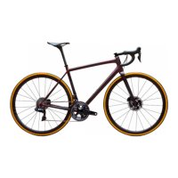 Preview: Specialized AETHOS