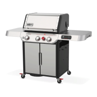 Preview: Weber Genesis SMART EX-325s