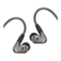Preview: Sennheiser IE 600