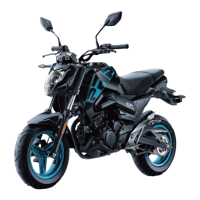 Preview: CF MOTO PAPIO