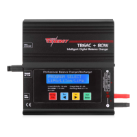 Preview: Tenergy TB6AC+80W