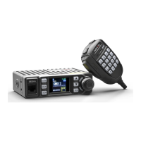 Preview: Radioddity DB20-G