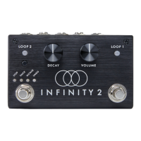 Preview: pigtronix INFINITY 2