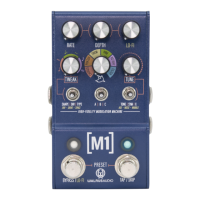 Preview: Walrus Audio MAKO M1
