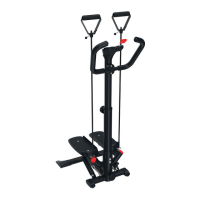 Preview: Crivit SWING STEPPER