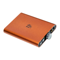 Preview: ifi HiP dac2
