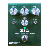 Preview: Source Audio ZIO