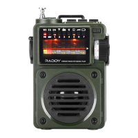 Preview: Raddy RF750