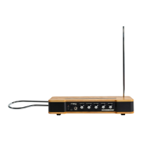 Preview: Moog ETHERWAVE THEREMIN