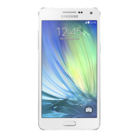 Preview: Samsung A500