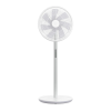 Fan Logo