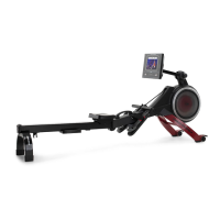 Preview: iFIT PRO-FORM PRO R10