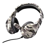 Preview: Goodmans CAMO