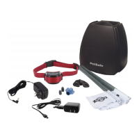 Preview: Petsafe Stay & Play