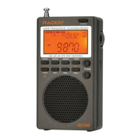Preview: Raddy RF760