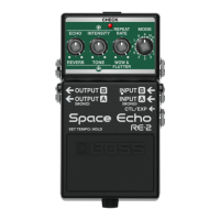 Preview: Boss RE-2