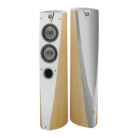 Preview: Focal Profile 918