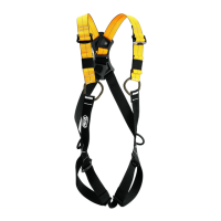 Preview: Petzl Newton