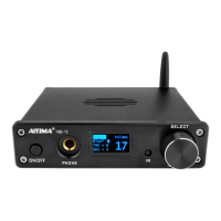 Preview: Aiyima TUBE-T5
