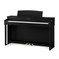 Preview: Kawai CN301