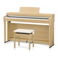Preview: Kawai CN201
