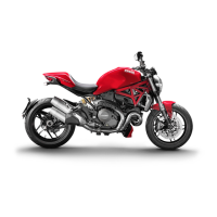 Preview: Ducati MONSTER 1200