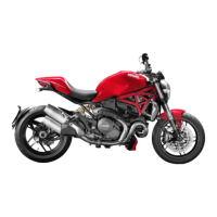 Preview: Ducati MONSTER 1200