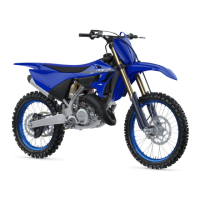 Preview: Yamaha YZ125 2022