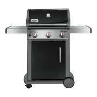 Preview: Weber Spirit PREMIUM E-310