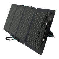Preview: EcoFlow 110W