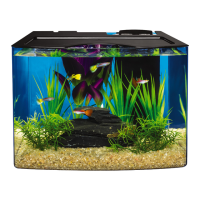 Preview: Tetra Crescent 3 Gallon