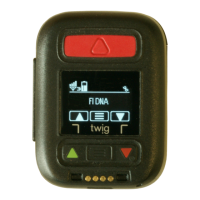 Preview: TWIG Neo
