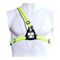 Preview: CHEST LIGHT TRIPLE BEAM