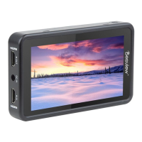 Preview: Desview R5II