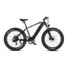 Bicycle Logo
