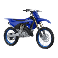 Preview: Yamaha YZ125X 2022
