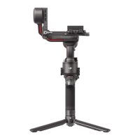 Preview: dji RS 3 PRO