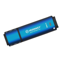 Preview: IRONKEY Vault Privacy 50