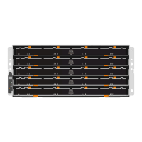 Preview: NetApp DS224C