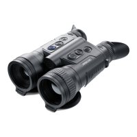 Preview: Pulsar Merger LRF